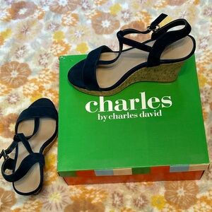Charles by Charles David Blue Wedge Sandals for Versatile Style